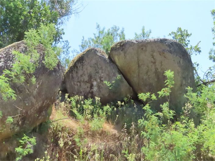 Image No.25-Propriété à vendre à Castelo Branco