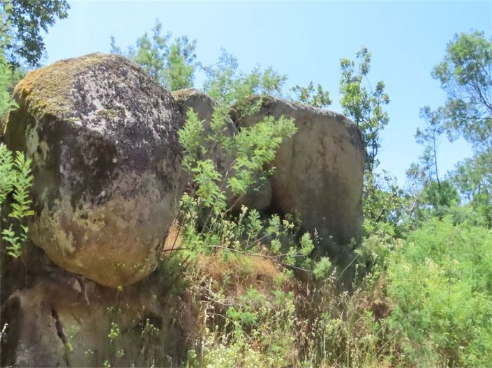 Image No.26-Propriété à vendre à Castelo Branco