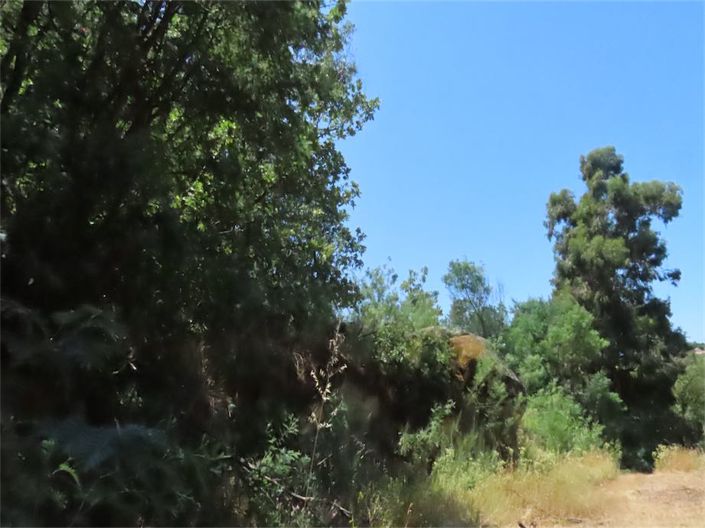 Image No.27-Propriété à vendre à Castelo Branco