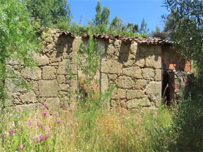 Image No.6-Propriété à vendre à Castelo Branco