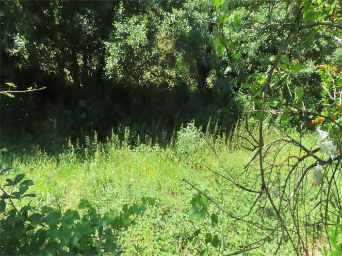 Image No.9-Propriété à vendre à Castelo Branco