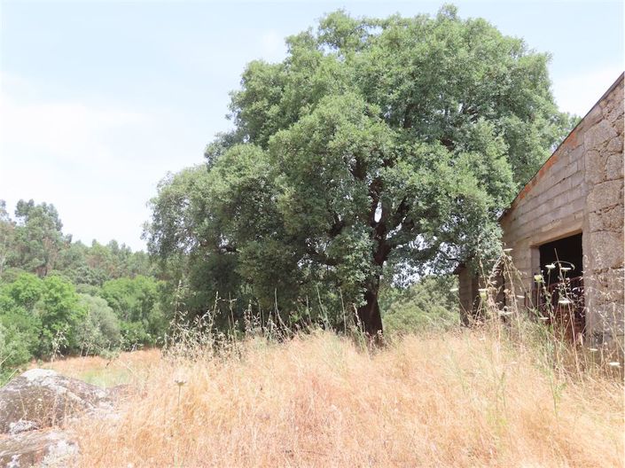 Image No.16-Propriété à vendre à Castelo Branco