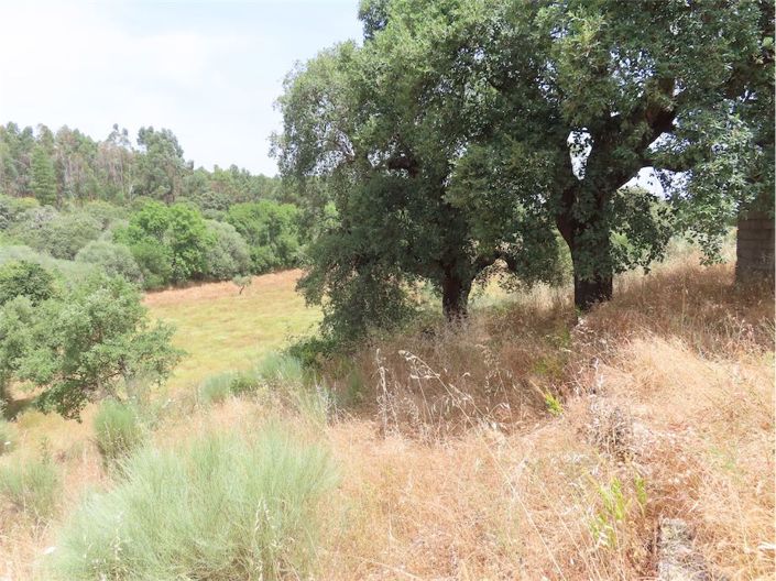 Image No.18-Propriété à vendre à Castelo Branco