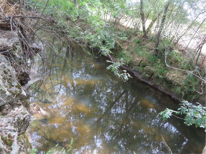 Image No.2-Propriété à vendre à Castelo Branco