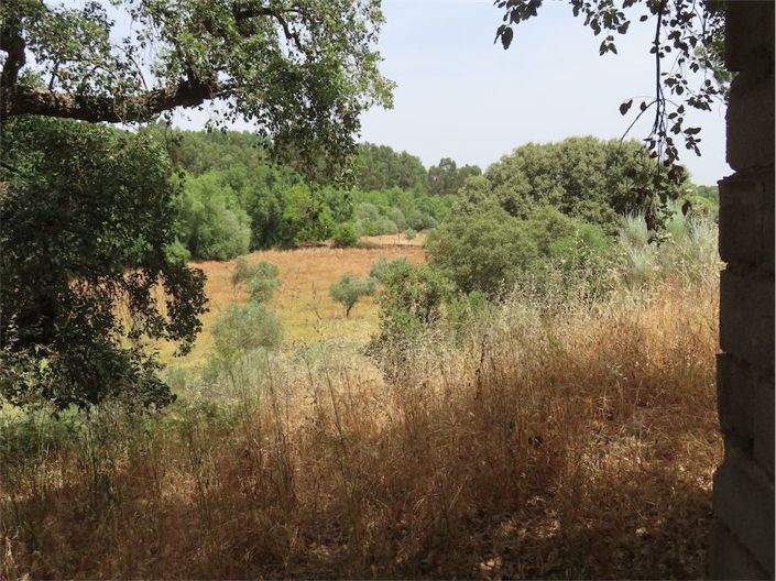 Image No.22-Propriété à vendre à Castelo Branco