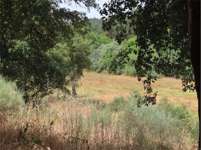 Image No.24-Propriété à vendre à Castelo Branco