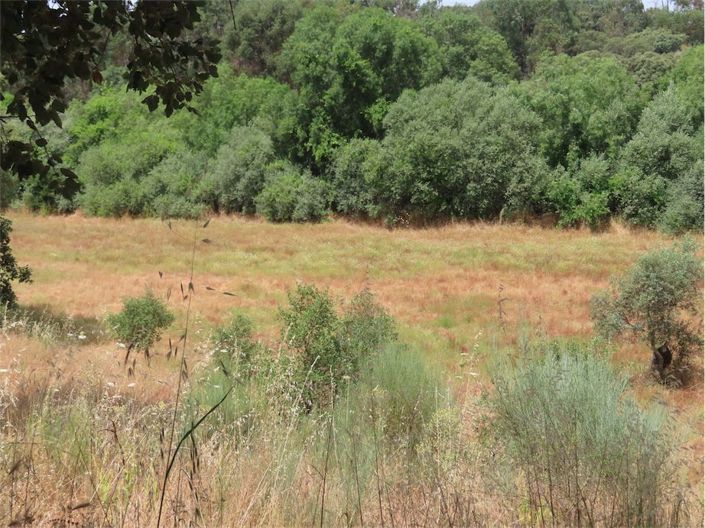 Image No.25-Propriété à vendre à Castelo Branco