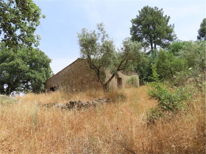 Image No.26-Propriété à vendre à Castelo Branco