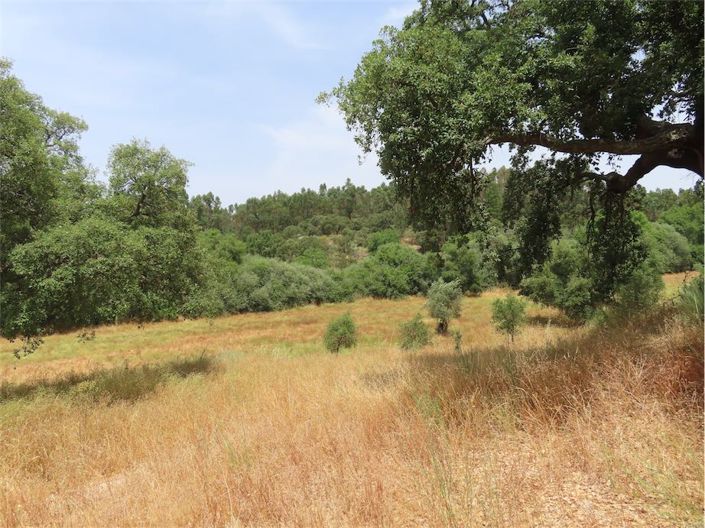 Image No.27-Propriété à vendre à Castelo Branco