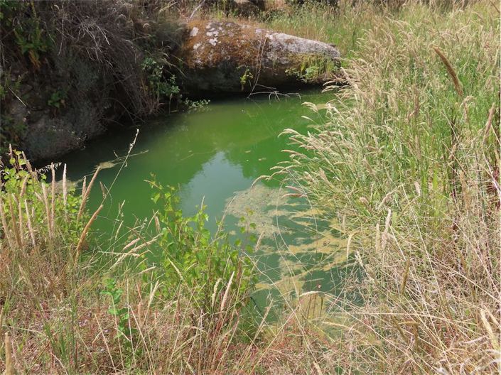 Image No.28-Propriété à vendre à Castelo Branco