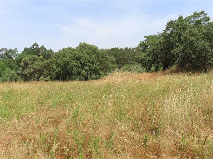 Image No.29-Propriété à vendre à Castelo Branco