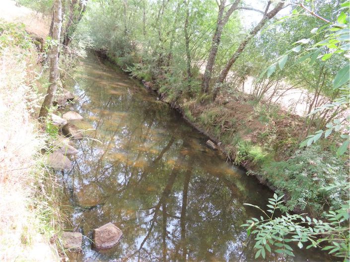 Image No.3-Propriété à vendre à Castelo Branco