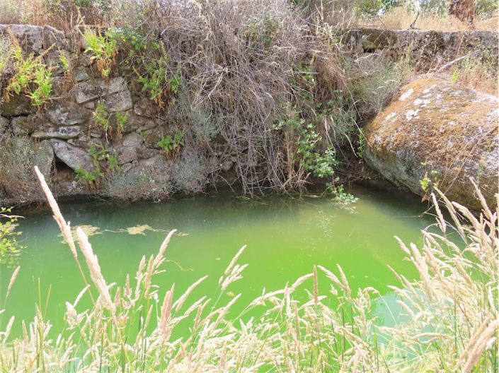 Image No.30-Propriété à vendre à Castelo Branco