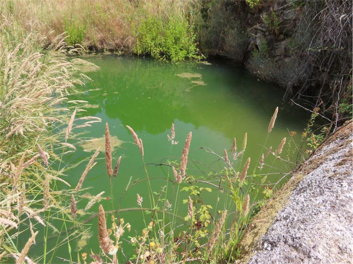 Image No.31-Propriété à vendre à Castelo Branco