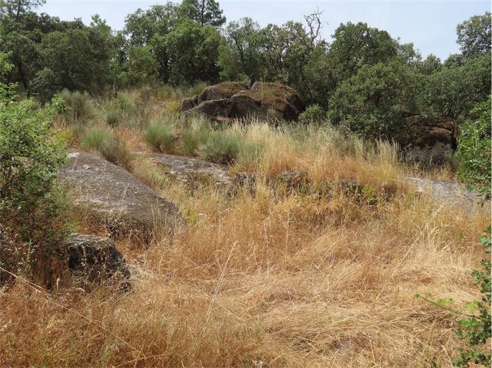 Image No.35-Propriété à vendre à Castelo Branco