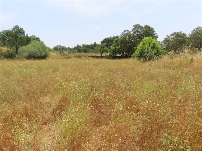 Image No.36-Propriété à vendre à Castelo Branco