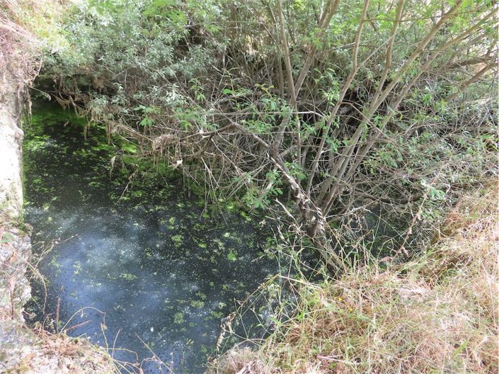 Image No.4-Propriété à vendre à Castelo Branco