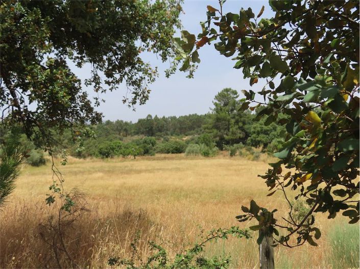 Image No.40-Propriété à vendre à Castelo Branco