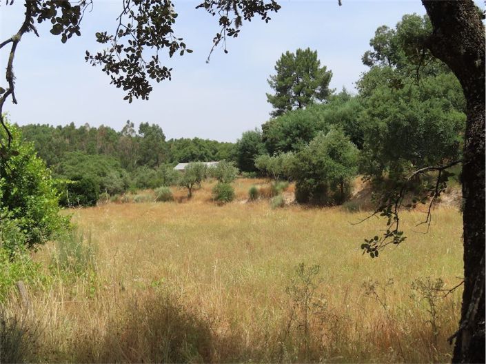 Image No.6-Propriété à vendre à Castelo Branco