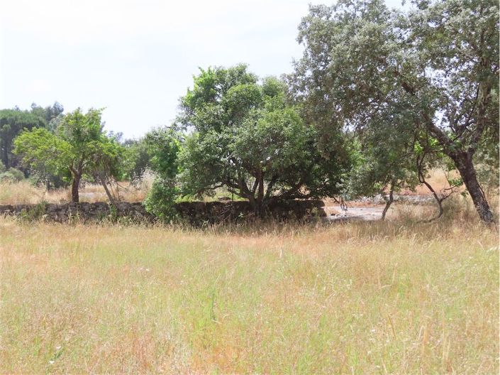 Image No.8-Propriété à vendre à Castelo Branco