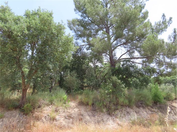 Image No.9-Propriété à vendre à Castelo Branco