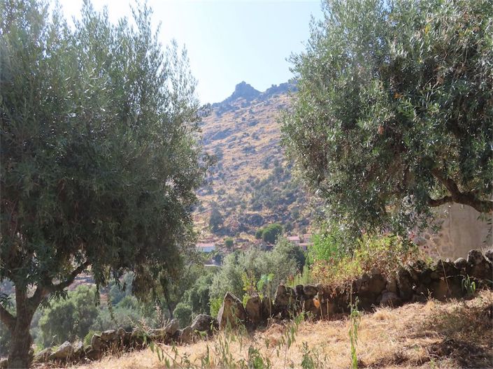 Image No.10-Propriété de 4 chambres à vendre à Castelo Branco