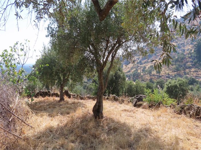 Image No.12-Propriété de 4 chambres à vendre à Castelo Branco