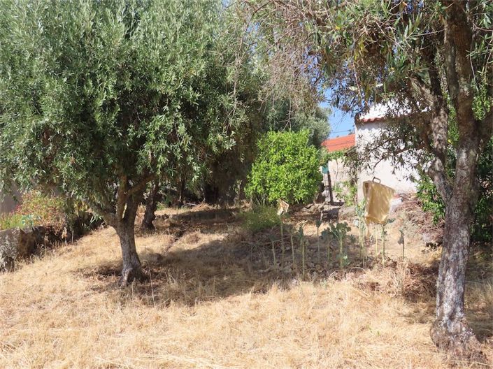 Image No.13-Propriété de 4 chambres à vendre à Castelo Branco