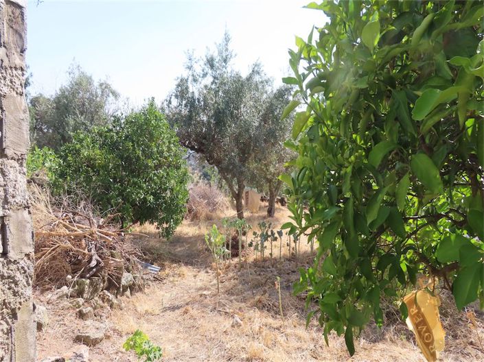 Image No.9-Propriété de 4 chambres à vendre à Castelo Branco