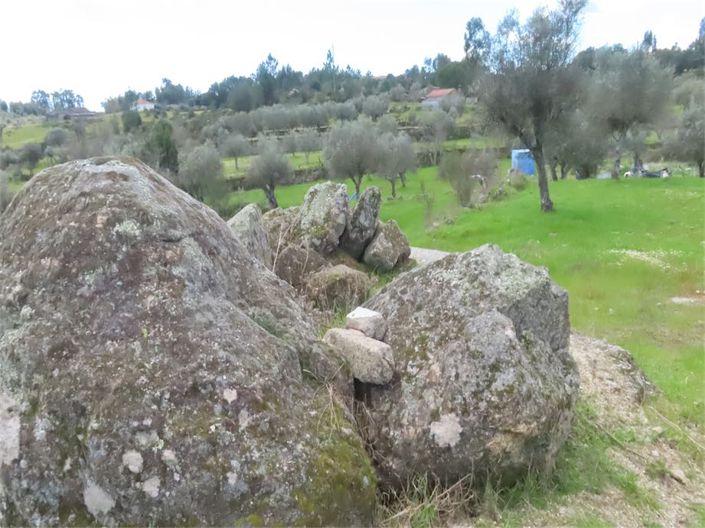 Image No.18-Propriété à vendre à Castelo Branco