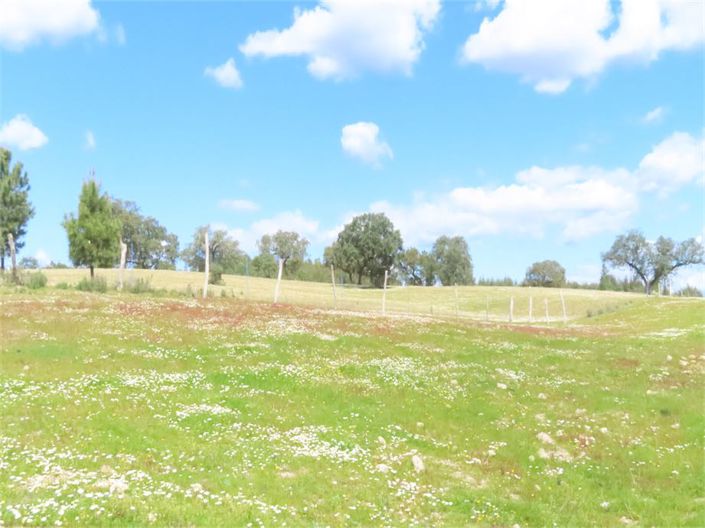 Image No.22-Propriété à vendre à Castelo Branco