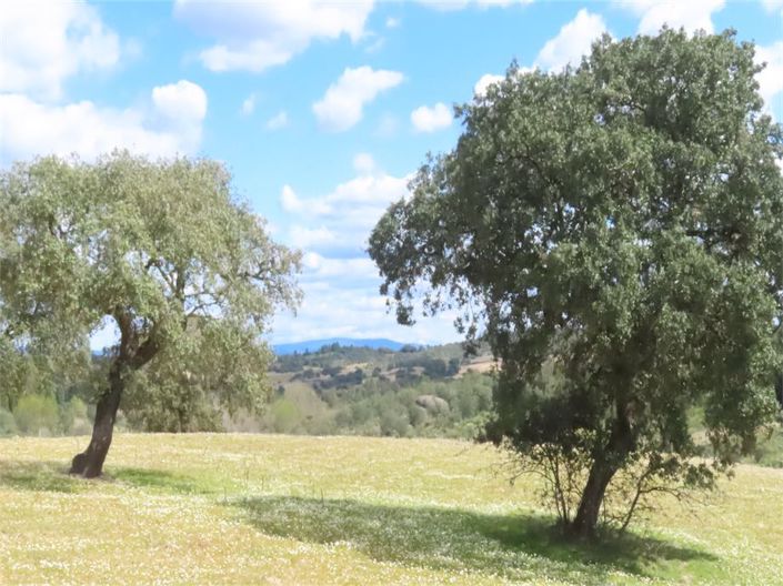 Image No.23-Propriété à vendre à Castelo Branco