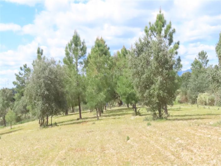 Image No.24-Propriété à vendre à Castelo Branco