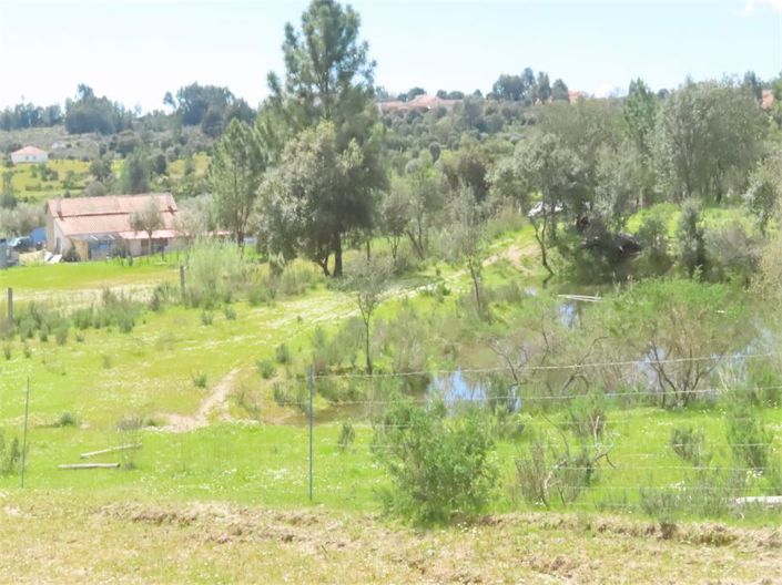 Image No.28-Propriété à vendre à Castelo Branco