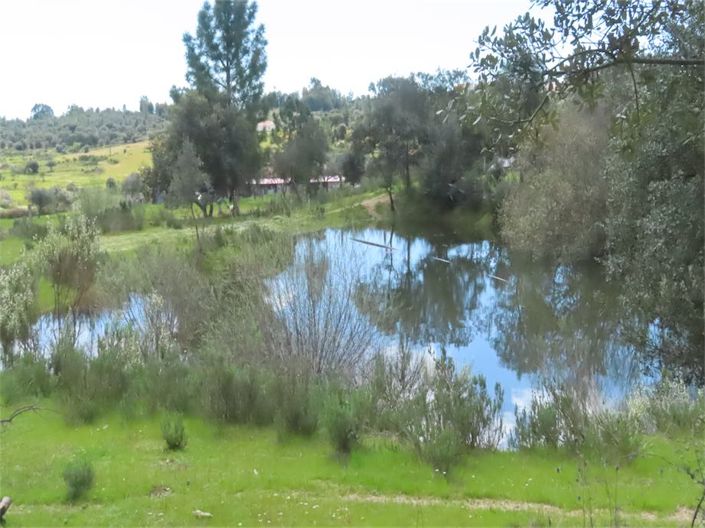 Image No.29-Propriété à vendre à Castelo Branco