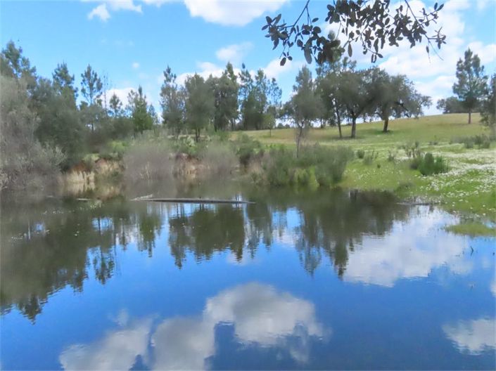 Image No.3-Propriété à vendre à Castelo Branco