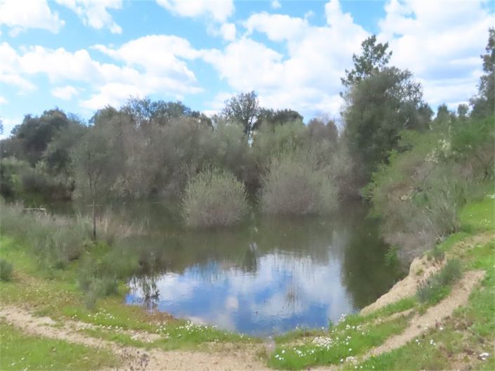 Image No.30-Propriété à vendre à Castelo Branco