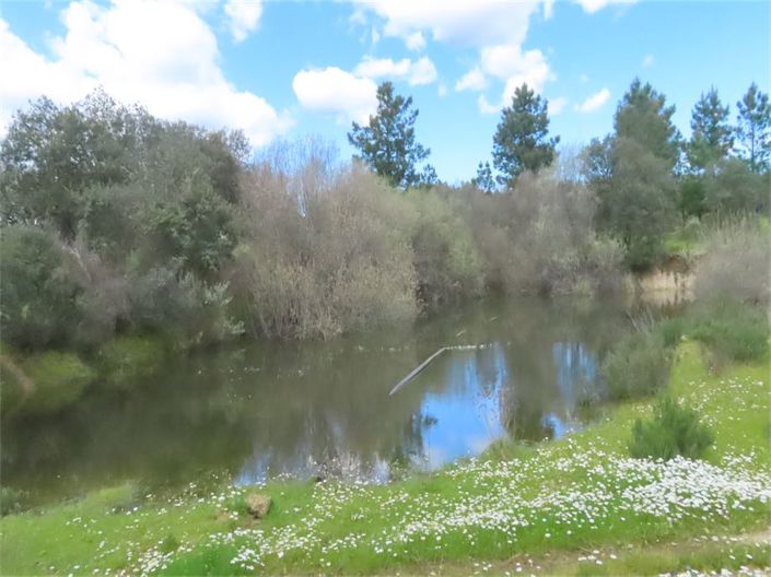 Image No.31-Propriété à vendre à Castelo Branco