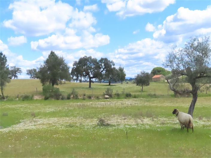 Image No.32-Propriété à vendre à Castelo Branco