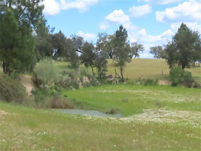 Image No.33-Propriété à vendre à Castelo Branco