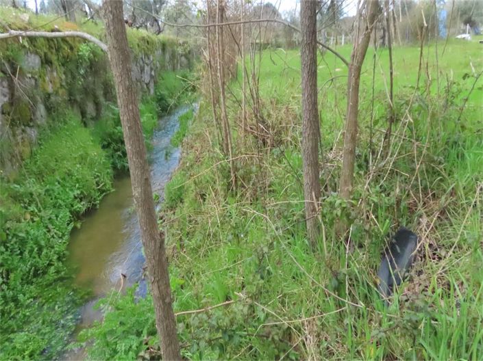 Image No.35-Propriété à vendre à Castelo Branco