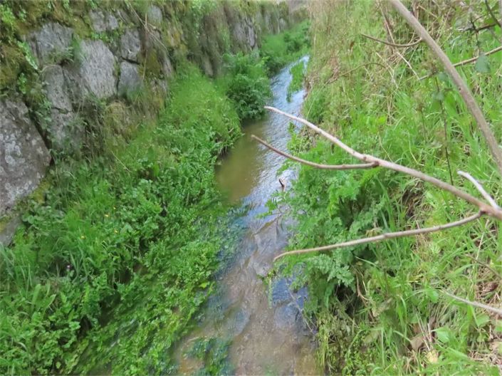 Image No.36-Propriété à vendre à Castelo Branco