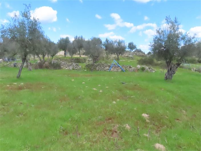 Image No.37-Propriété à vendre à Castelo Branco