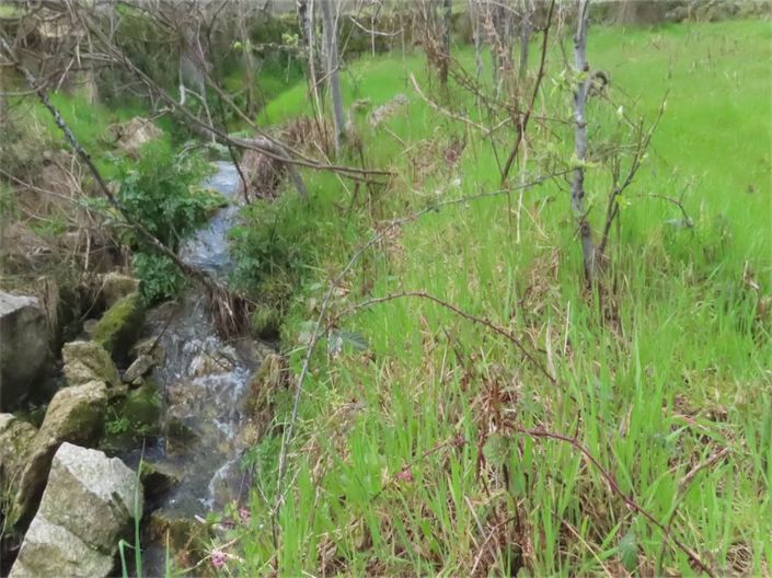 Image No.38-Propriété à vendre à Castelo Branco