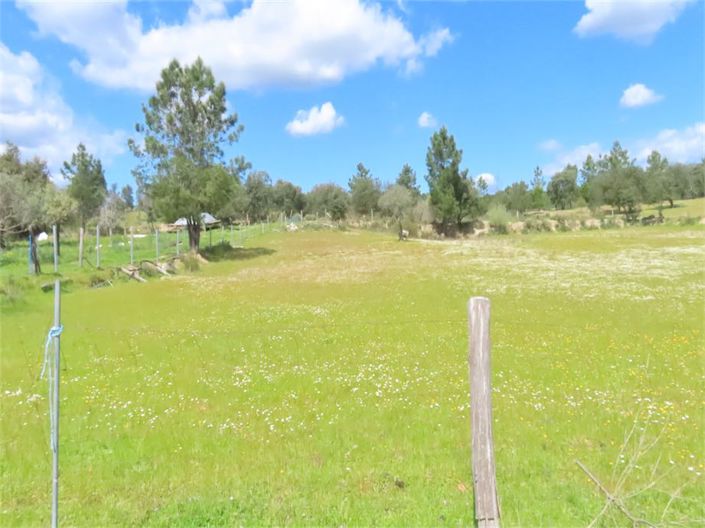 Image No.4-Propriété à vendre à Castelo Branco