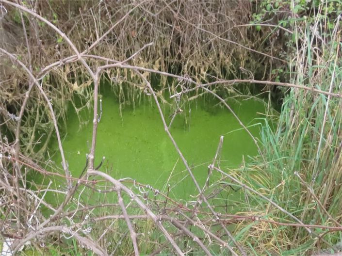 Image No.40-Propriété à vendre à Castelo Branco