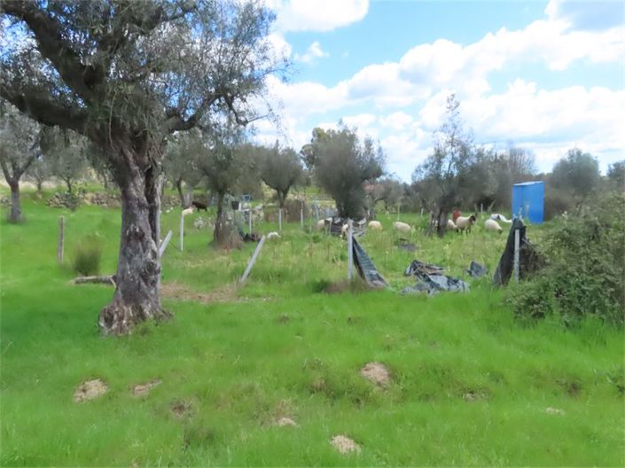 Image No.41-Propriété à vendre à Castelo Branco