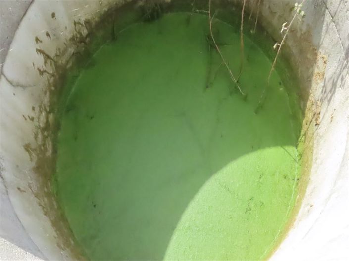 Image No.43-Propriété à vendre à Castelo Branco