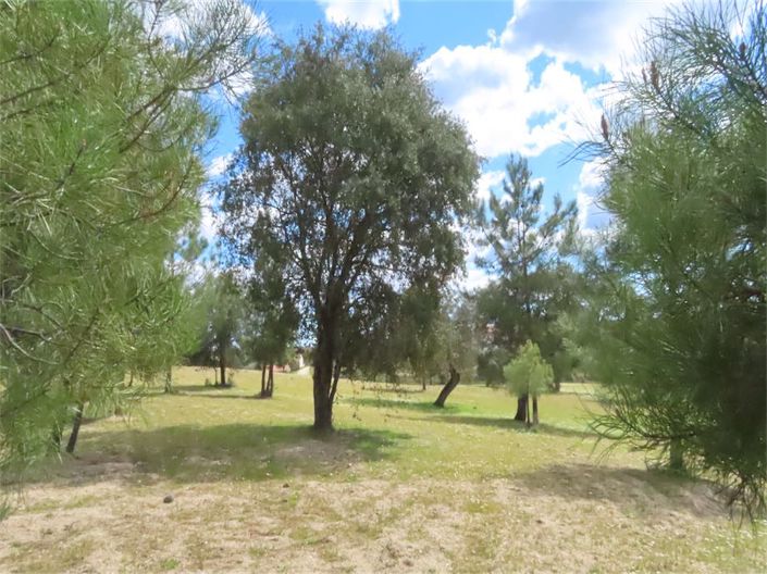 Image No.48-Propriété à vendre à Castelo Branco