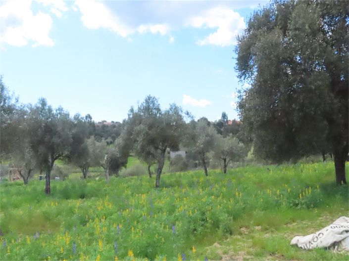 Image No.49-Propriété à vendre à Castelo Branco